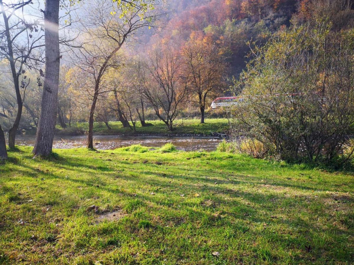 Casute Zavoi Bulz Villa Екстериор снимка