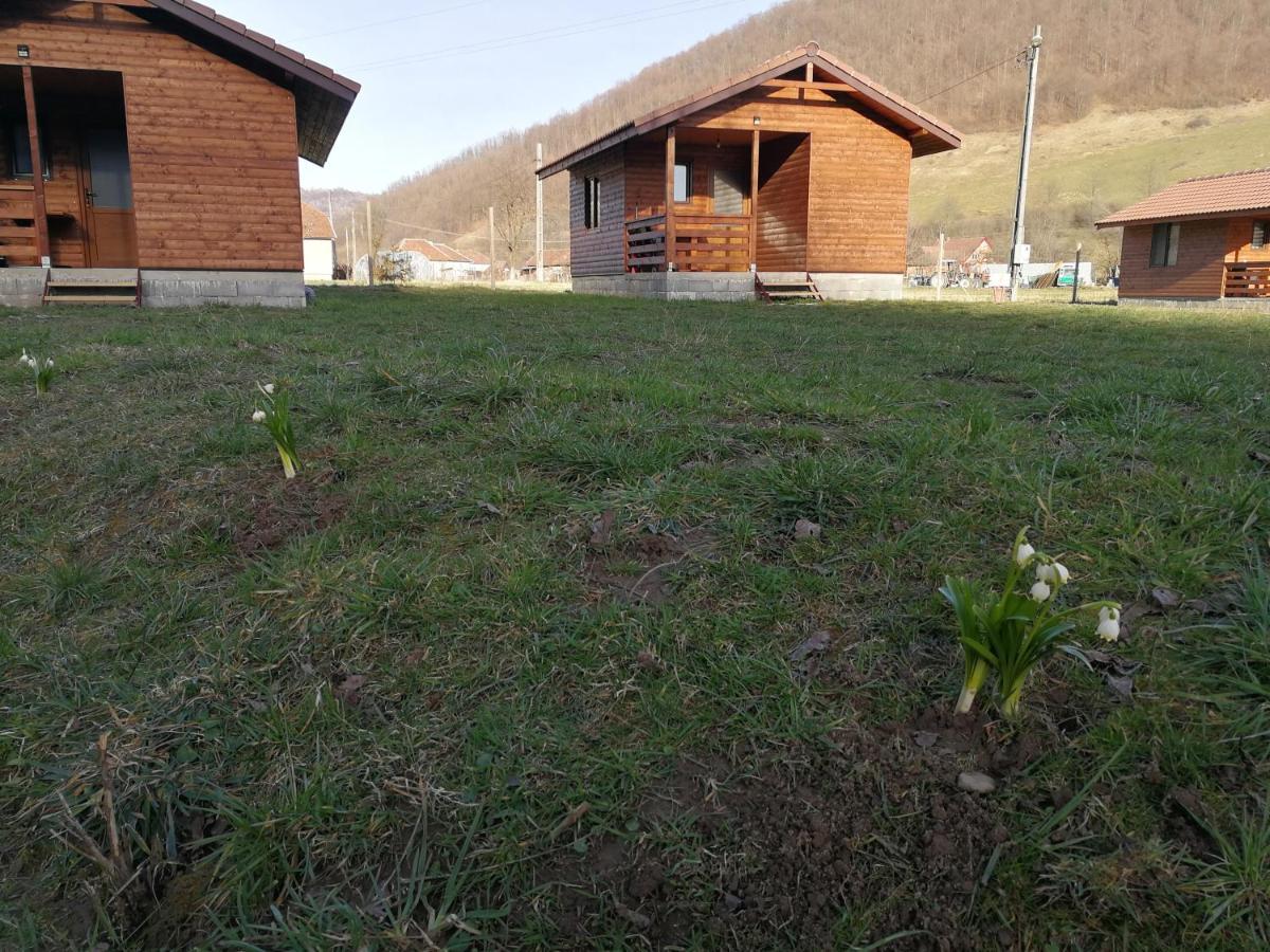 Casute Zavoi Bulz Villa Екстериор снимка