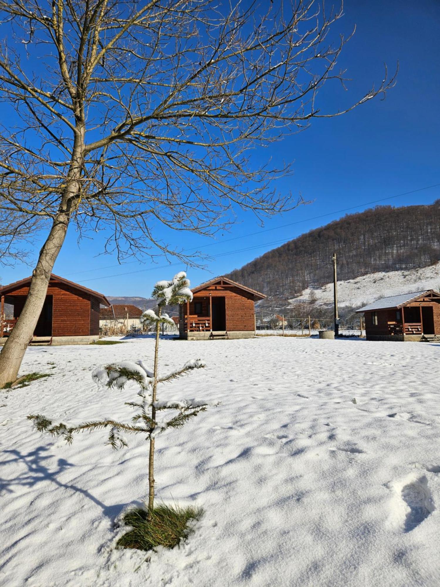 Casute Zavoi Bulz Villa Екстериор снимка