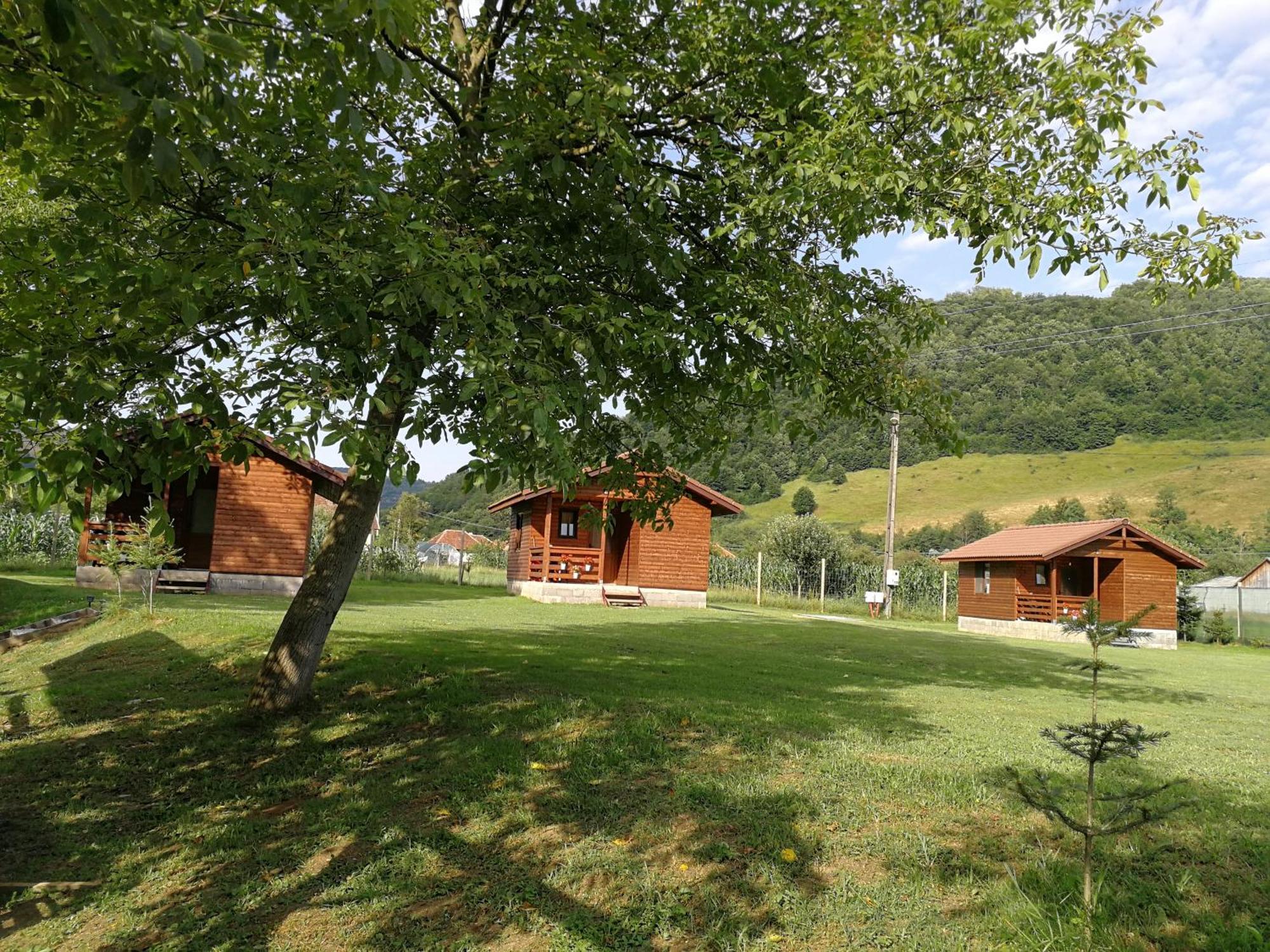 Casute Zavoi Bulz Villa Екстериор снимка
