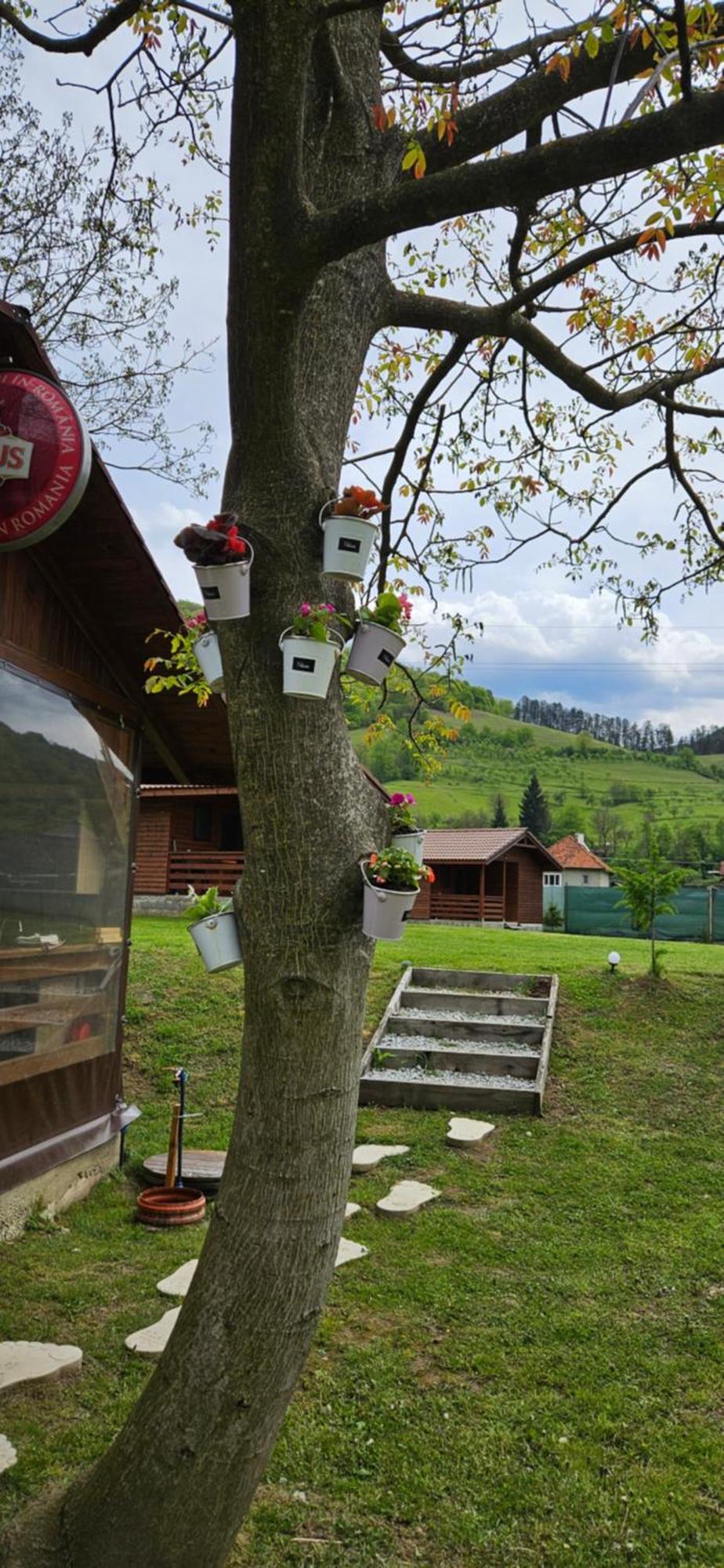 Casute Zavoi Bulz Villa Екстериор снимка