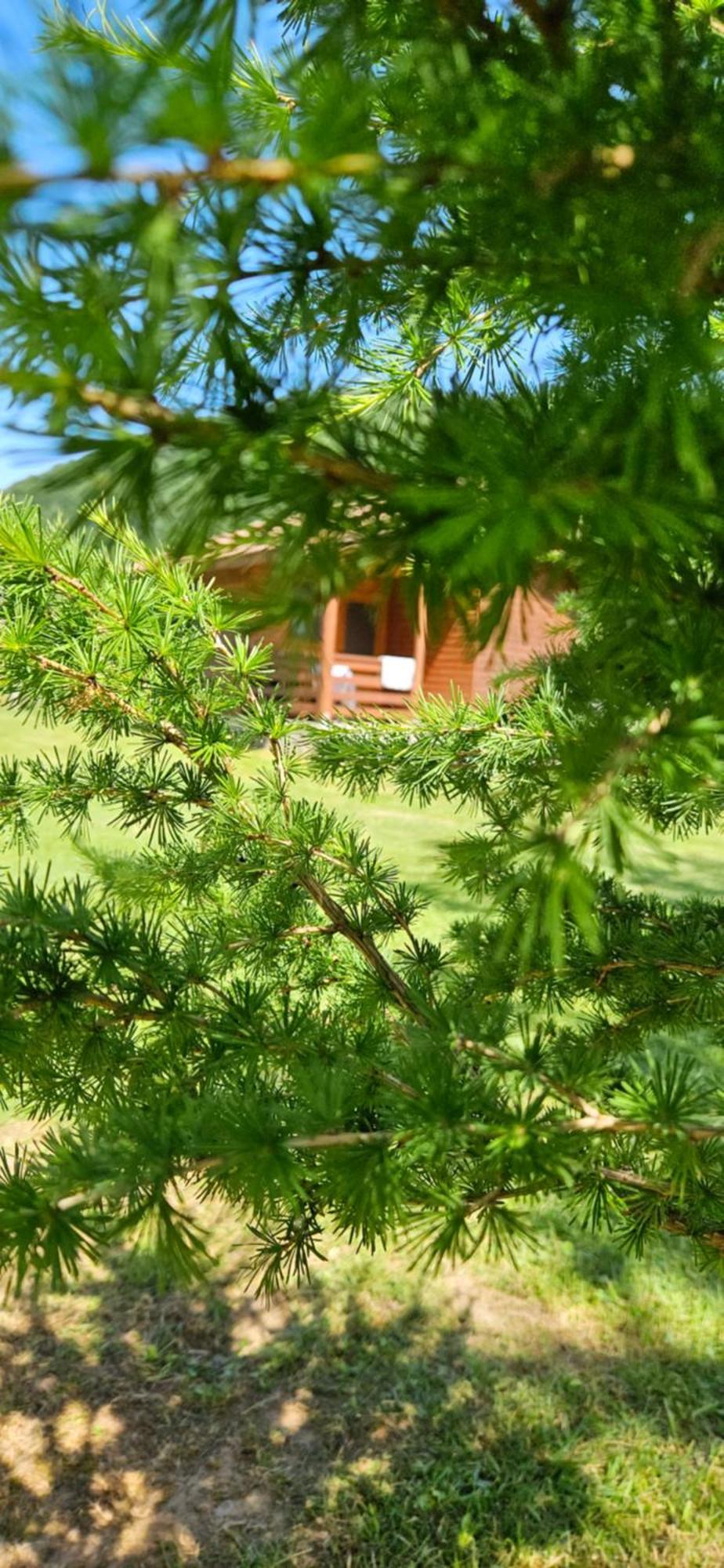 Casute Zavoi Bulz Villa Екстериор снимка