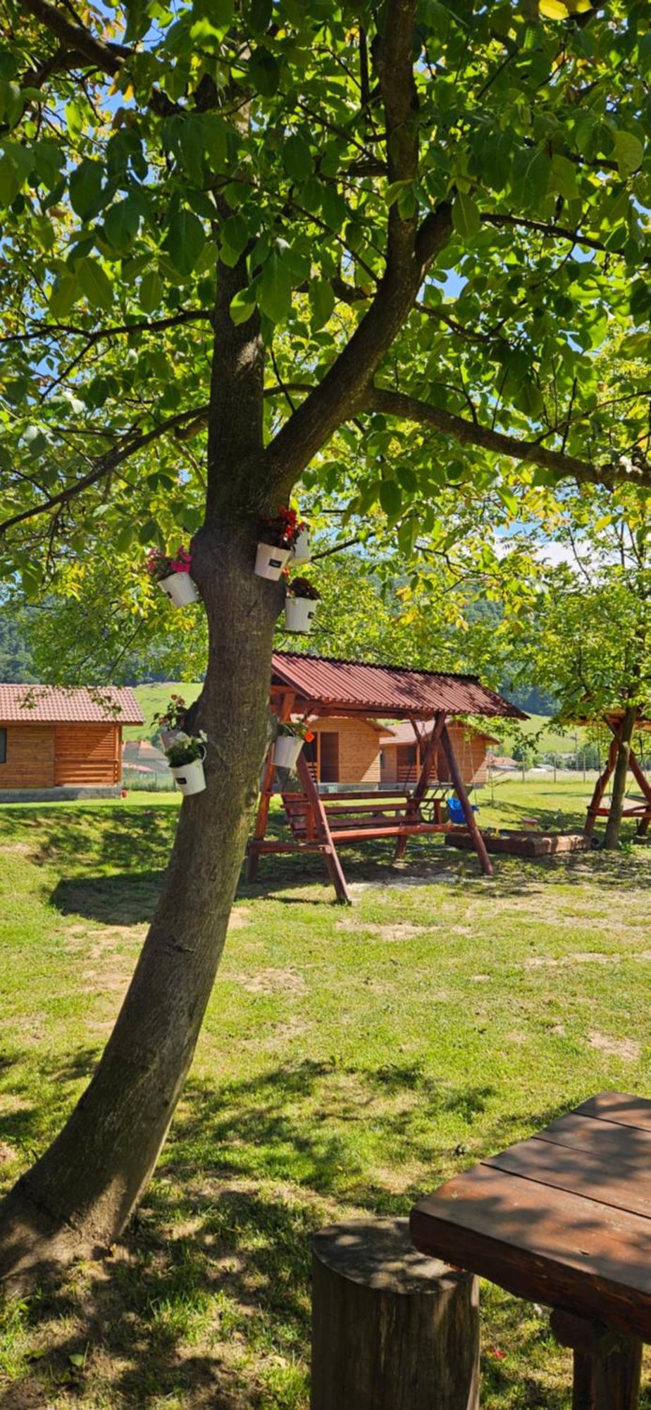 Casute Zavoi Bulz Villa Екстериор снимка